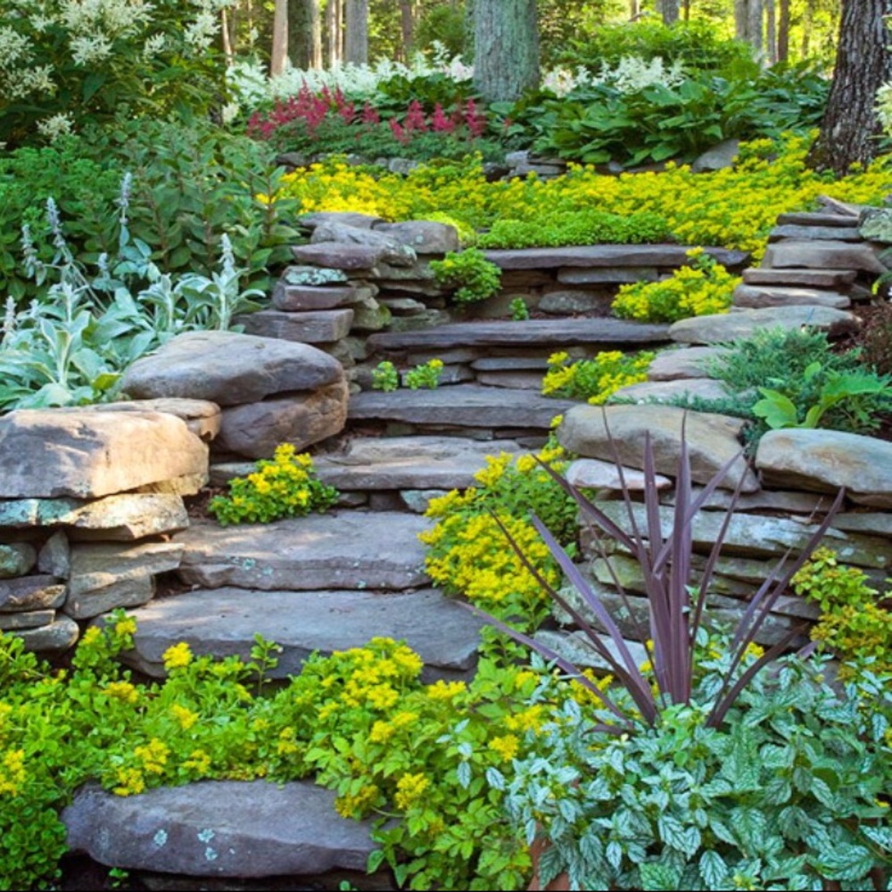 Meet your Posher, Elisa